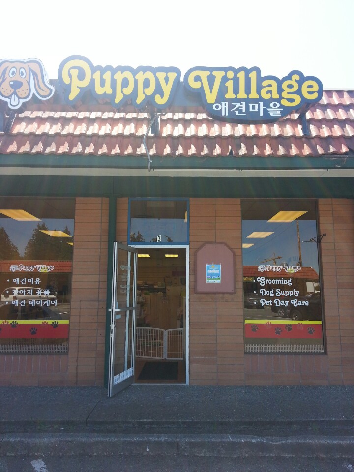 Amazing Dog Grooming Federal Way of all time Don t miss out 