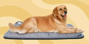 dog laying on mat